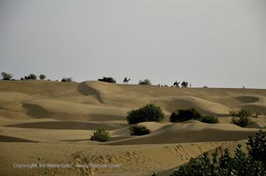 03 Camelride,_Sanddunes,_Kuri_DSC3400_b_H600